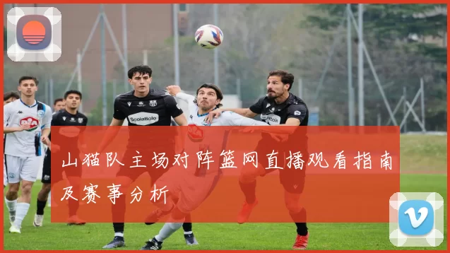 山猫队主场对阵篮网直播观看指南及赛事分析