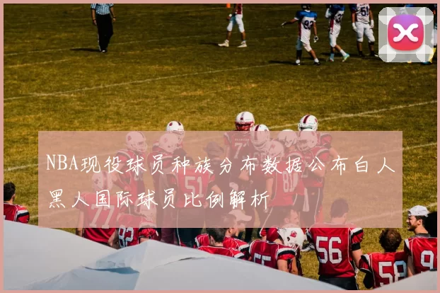 NBA现役球员种族分布数据公布白人黑人国际球员比例解析