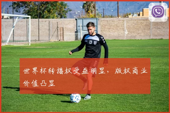 世界杯转播权受益明显,版权商业价值凸显