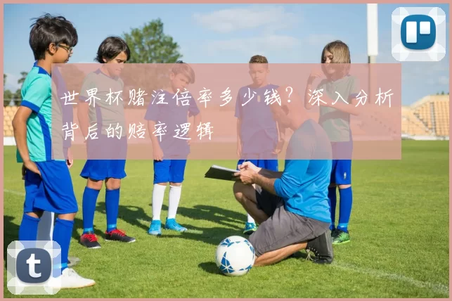 世界杯赌注倍率多少钱？深入分析背后的赔率逻辑
