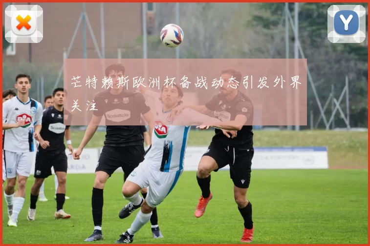 芒特赖斯欧洲杯备战动态引发外界关注