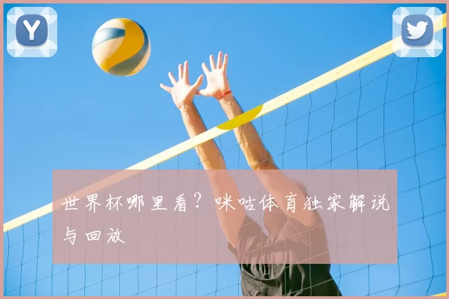 世界杯哪里看?咪咕体育独家解说与回放