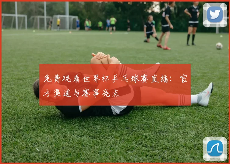免费观看世界杯乒乓球赛直播:官方渠道与赛事亮点