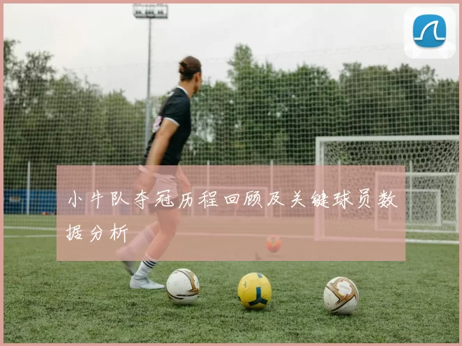 小牛队夺冠历程回顾及关键球员数据分析