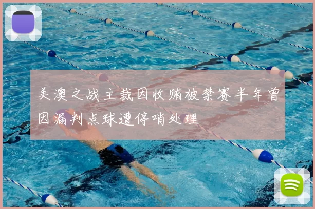 美澳之战主裁因收贿被禁赛半年曾因漏判点球遭停哨处理