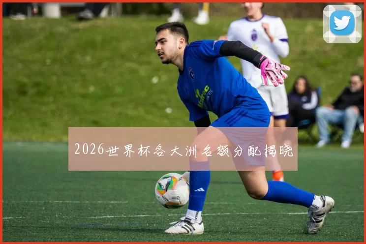 2026世界杯各大洲名额分配揭晓