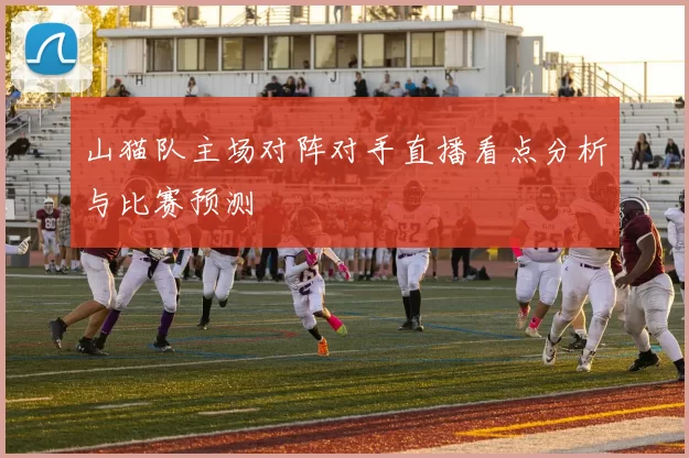 山猫队主场对阵对手直播看点分析与比赛预测